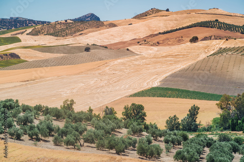 Landscapes of Andalusia, Spain