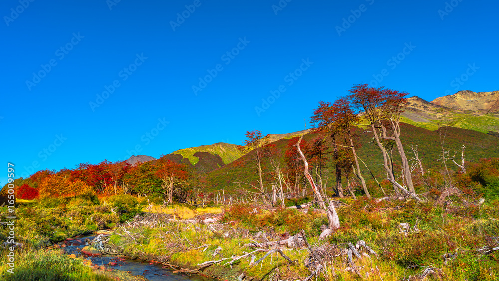 Gorgeous landscape of Patagonia's Tierra del Fuego National Park