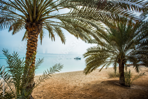 Palm tree  exotic beach