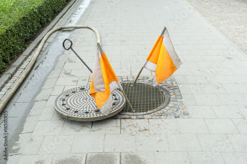 Manhole cover with flags