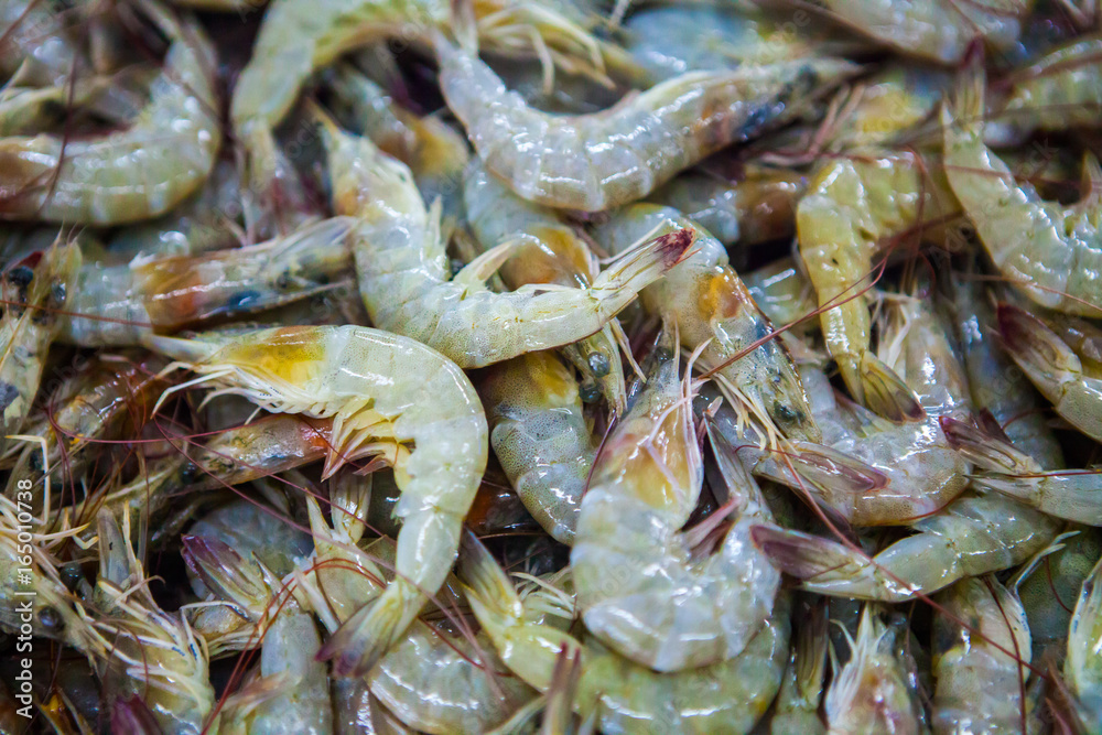 fish market abu dhabi, fish, market, fhish in ice, Shrims, seafood fish market abu dhabi, fish, market, fhish in ice, Shrims, seafood