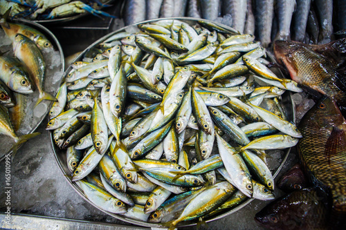 fish market abu dhabi, fish, market, fhish in ice, Shrims, seafood photo