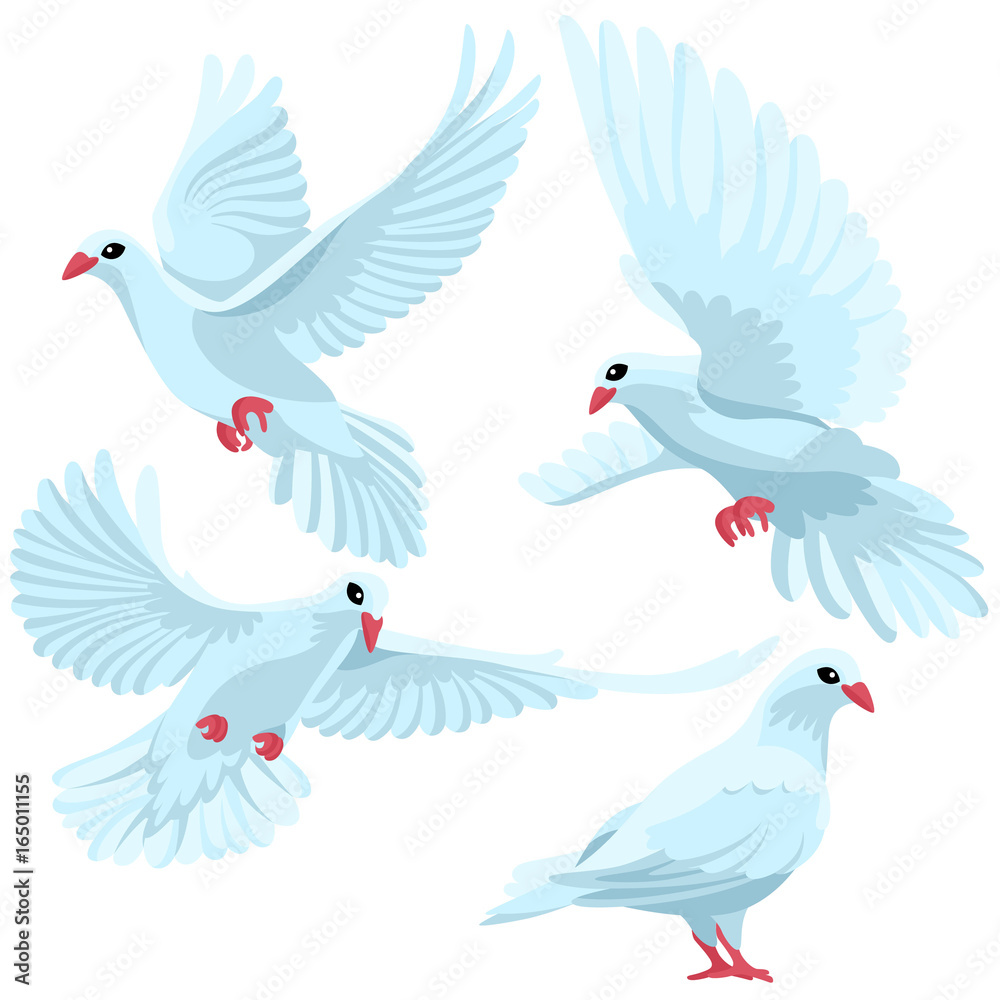 Obraz premium White doves on white background / Four white doves in cartoon style 