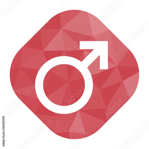 geometrischer Icon - Geschlecht männlich