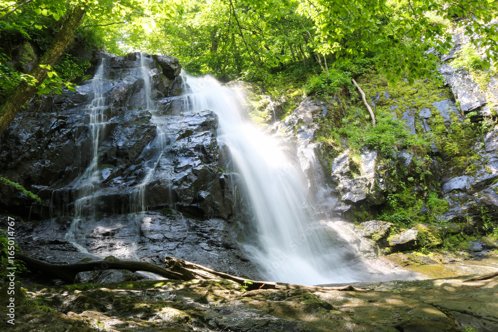 Fototapeta premium Jones Run Falls, Shenandoah National Park, Virginia