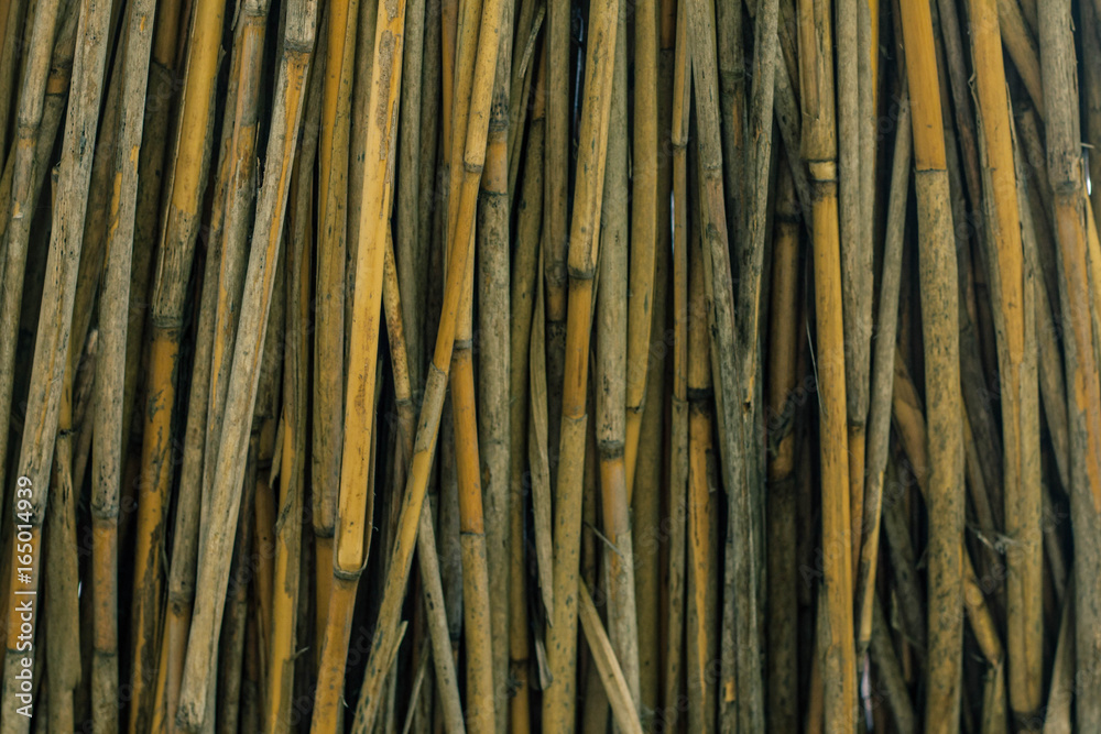 photograph of a fence made of branches photograph of a fence made of branches