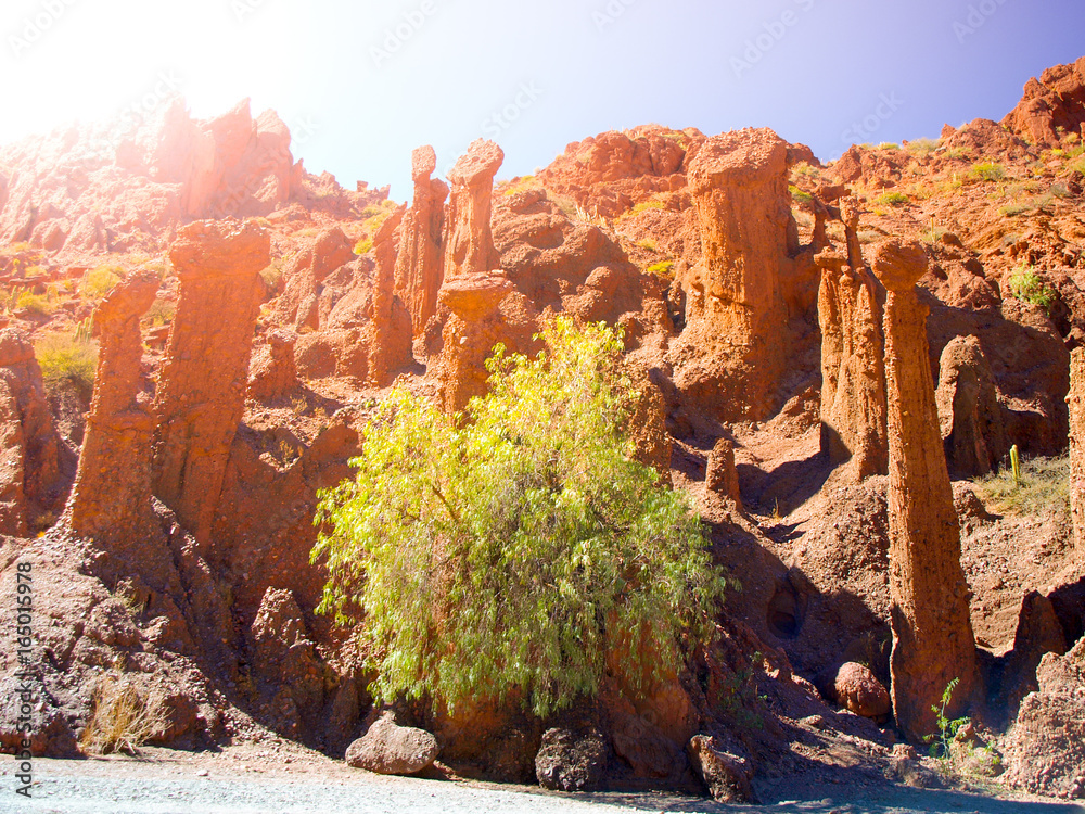 Φωτογραφία Phallic shape red rock formations in Valle de los Machos - Quebrada de Palmira near Tupiza, Bolivian Andes, South America