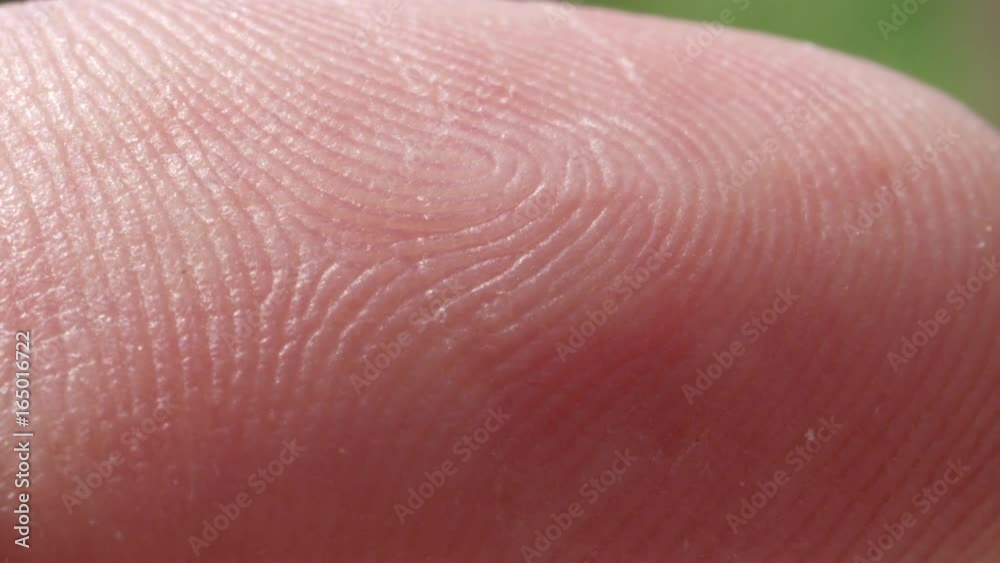 EXTREME CLOSE UP MACRO: Detail of fingerprint on Caucasian index finger. White person's skin pattern and texture on fingertips. White man's finger print EXTREME CLOSE UP MACRO: Detail of fingerprint on Caucasian index finger. White person's skin pattern and texture on fingertips. White man's finger print
