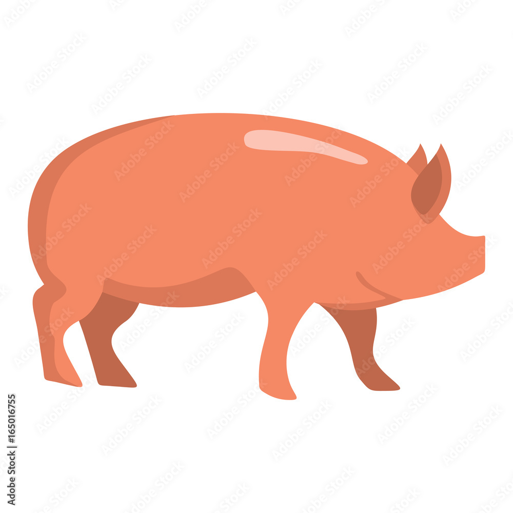 Pink pig flat cartoon icon. Pig vector illustration for design and web isolated on white background. Pig vector object for labels, logos and advertising Pink pig flat cartoon icon. Pig vector illustration for design and web isolated on white background. Pig vector object for labels, logos and advertising