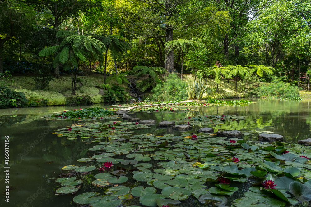 Ταπετσαρία Impressionistic landscape with nympheas at Parque Terra Nostra, Sao Miguel, Furn