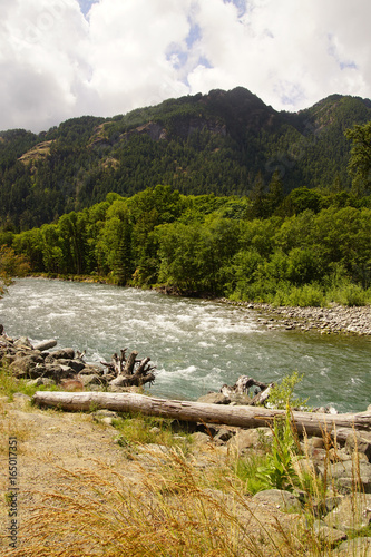 Driftwood on the  Elwha River photo