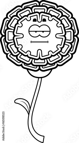 Calm Marigold