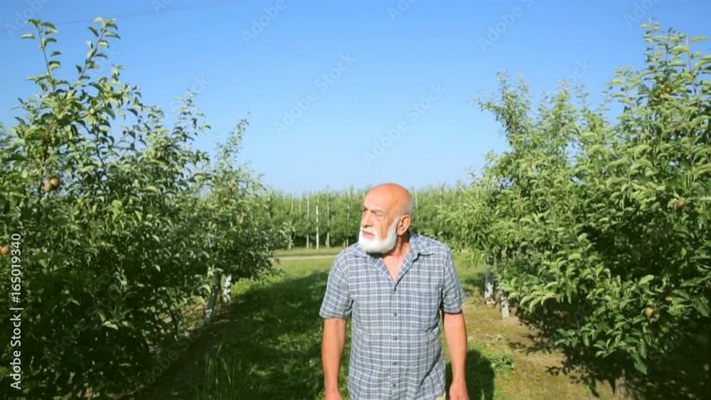 A farmer in a shirt with a beard in the garden A farmer in a shirt with a beard in the garden