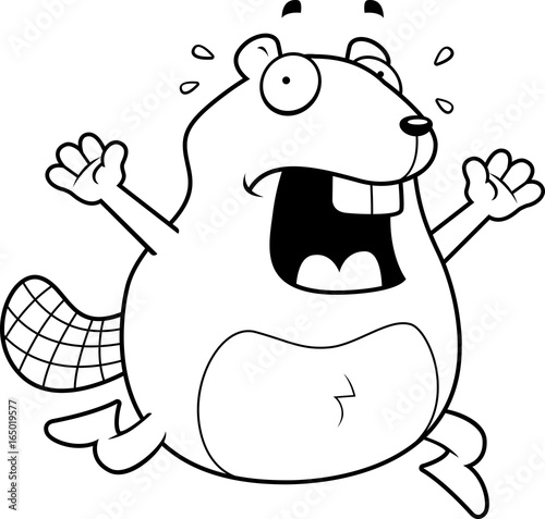 Beaver Panic