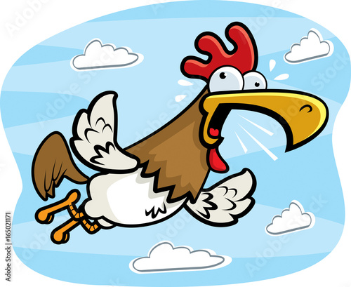 Rooster Flying