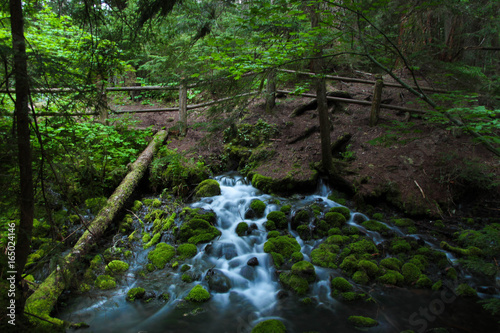 Mt Rainier Brook