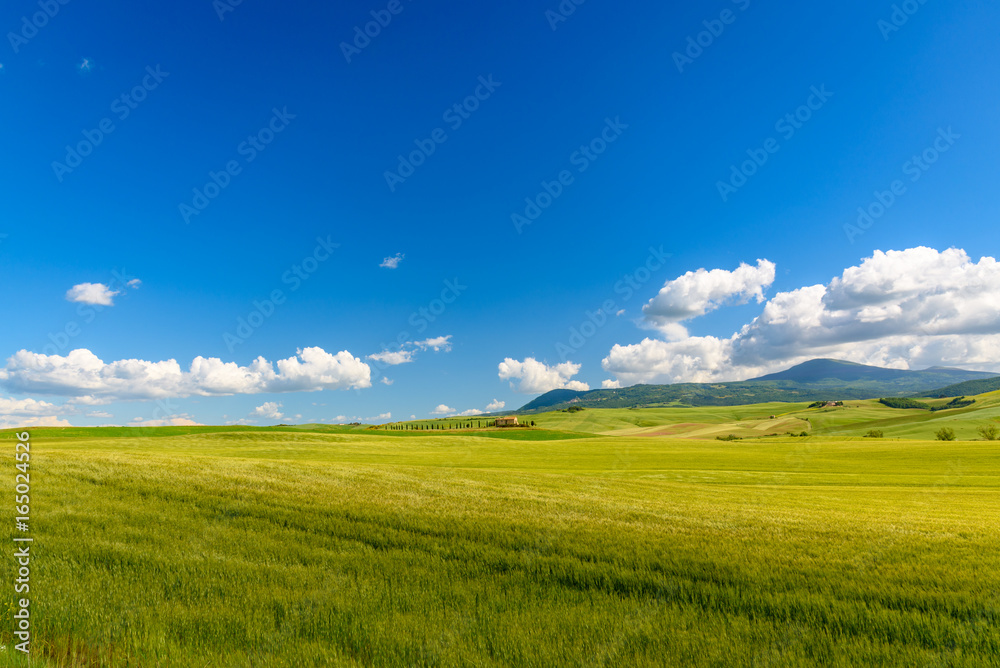 View of the countryside of Val'dOrcia Natural Area in Tuscany during spring season View of the countryside of Val'dOrcia Natural Area in Tuscany during spring season