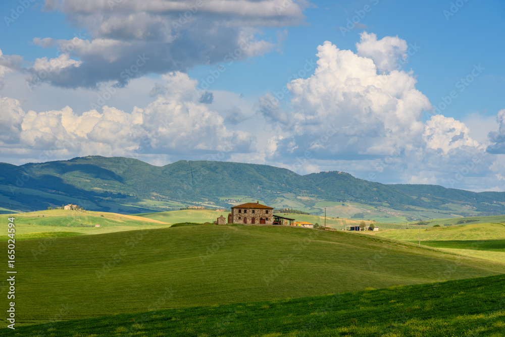 View of the countryside of Val'dOrcia Natural Area in Tuscany during spring season View of the countryside of Val'dOrcia Natural Area in Tuscany during spring season