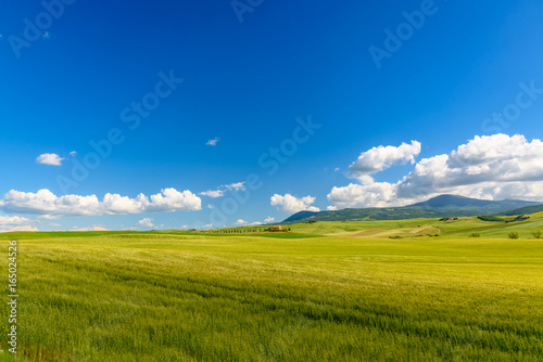 View of the countryside of Val dOrcia Natural Area in Tuscany during spring season