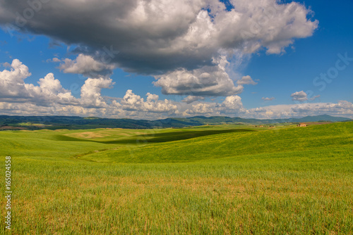 View of the countryside of Val dOrcia Natural Area in Tuscany during spring season