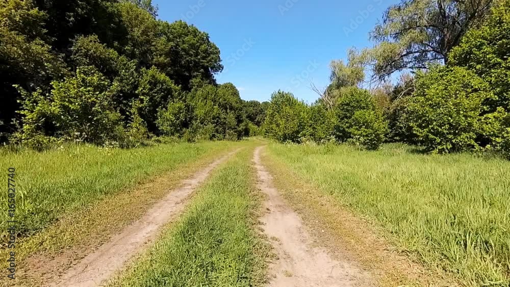 Driving a car in the wild. Point of view camera filming. Driving a car in the wild. Point of view camera filming.