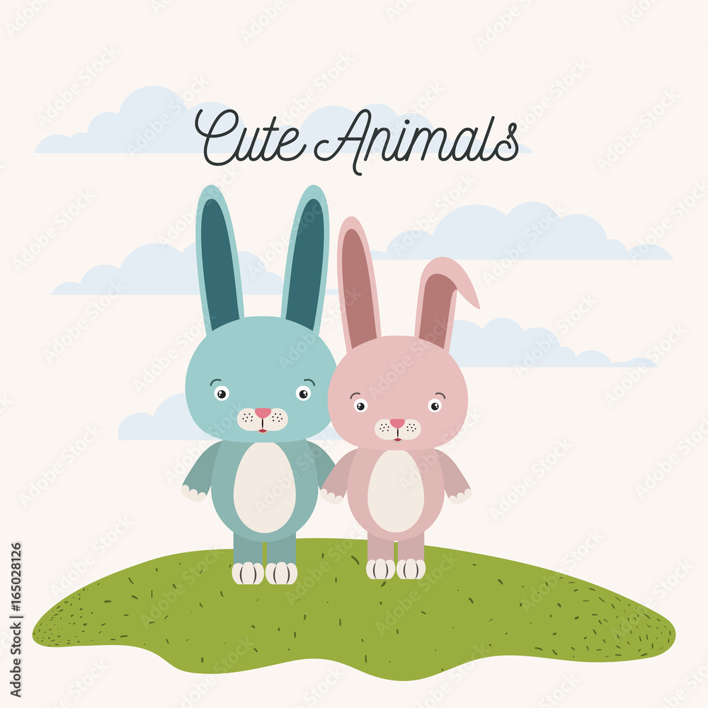 white background with color scene couple cute rabbits animals in grass vector illustration white background with color scene couple cute rabbits animals in grass vector illustration