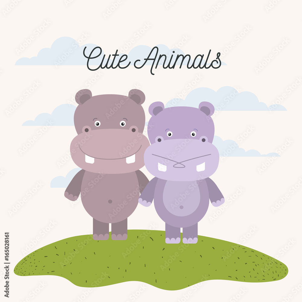 white background with color scene couple cute hippopotamus animals in grass vector illustration white background with color scene couple cute hippopotamus animals in grass vector illustration