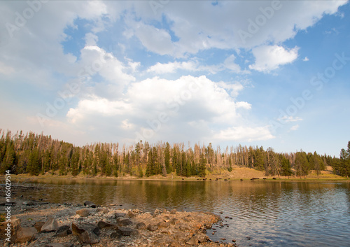 Yellowstone River near Lehardy Rapids in Yellowstone National Park in Wyoming USA photo