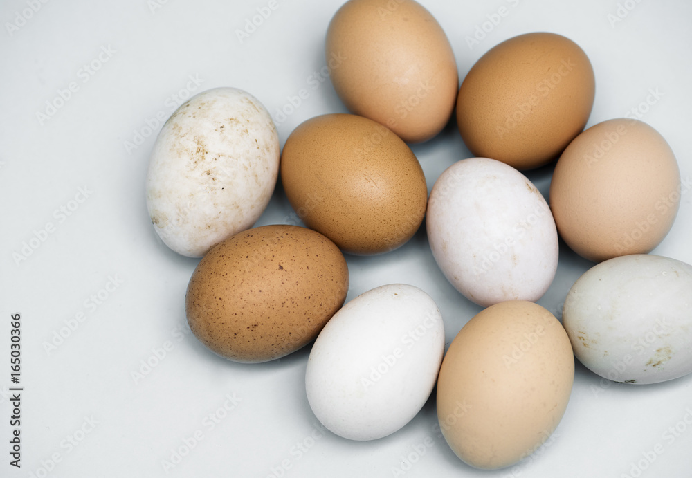 Closeup of fresh organic various eggs Closeup of fresh organic various eggs