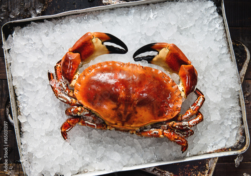 cooked crab on ice