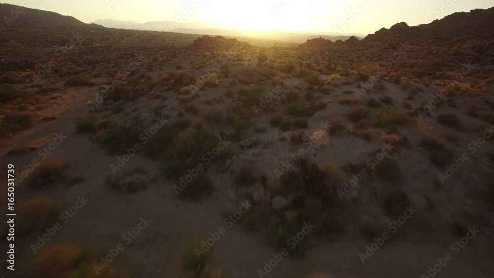 Joshua Tree Aerial Shot of Mojave Desert at Sunset