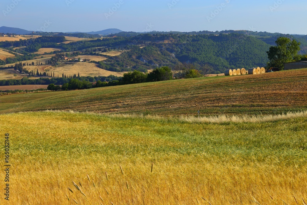 Countryside landscape around Pienza Tuscany in Italy, Europe