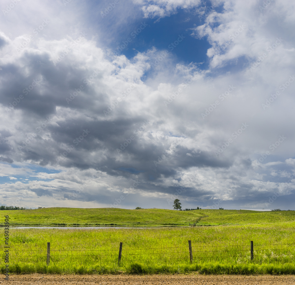 Rural Alberta landscape