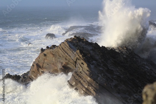 oregon coast
