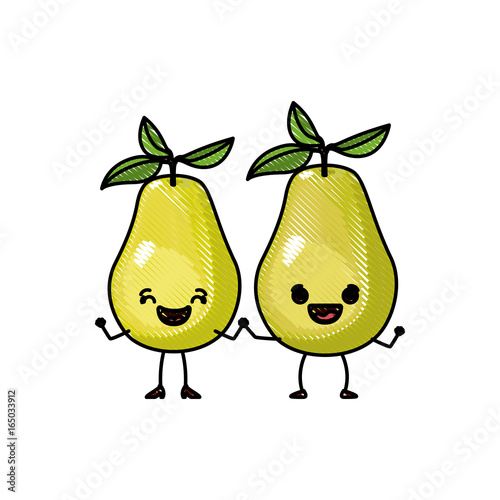 white background of colored crayon silhouette of realistic pair of pear fruits caricature vector illustration