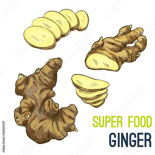 Full color super food hand drawn sketch 
