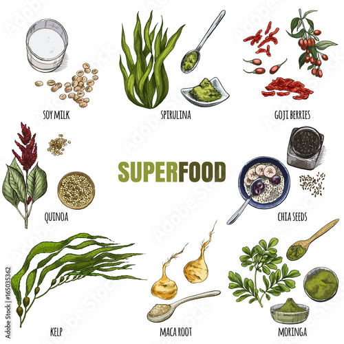 Superfood set. Full color realistic sketch