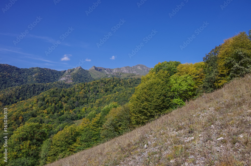 Fototapeta premium Panorama forest and rocks of Dilijan National Park, Armenia