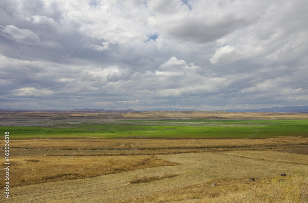 Obraz premium Arpacay (Akhourian ) resrvoir in the border of Turkey and Armenia. View form Armenia side..
