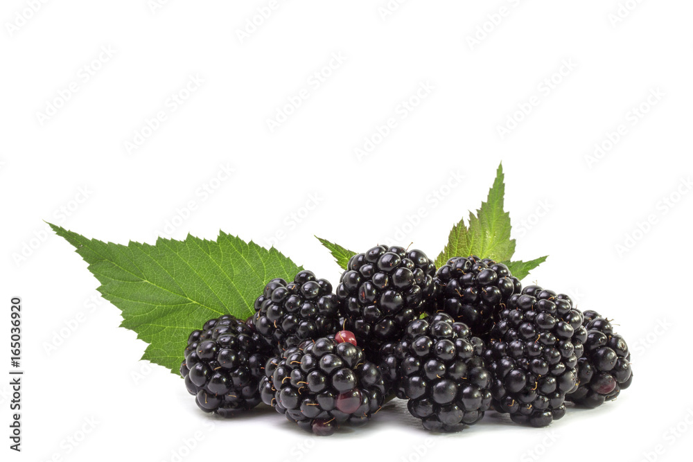 A bunch of ripe luscious blackberry berries A bunch of ripe luscious blackberry berries