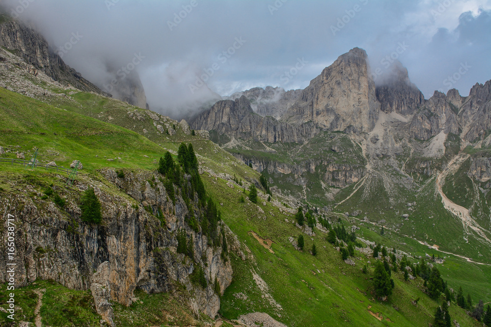 Fototapeta premium Italy South Tyrol Dolomites Rosengarten mountain range meadow