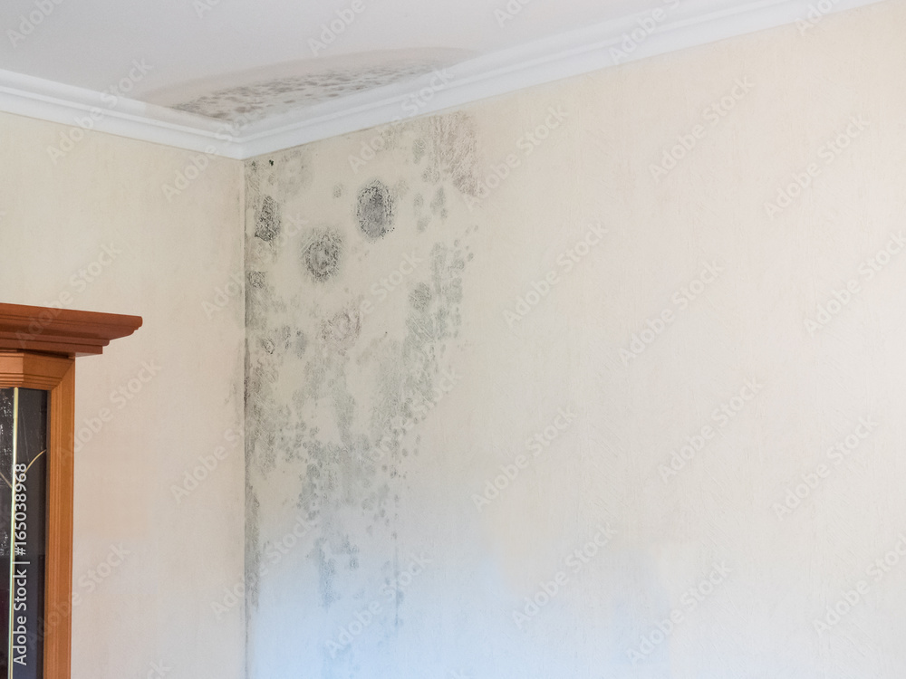 Wasserschaden - Wasserflecken - feuchte Wohnung Wasserschaden - Wasserflecken - feuchte Wohnung