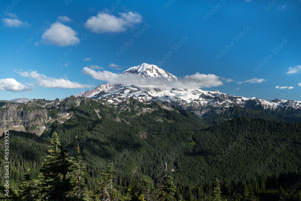 Tolmie Peak Trail