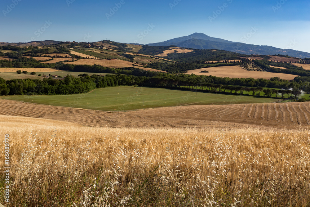 Tuscan fields Tuscan fields