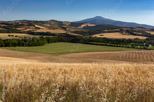 Tuscan fields