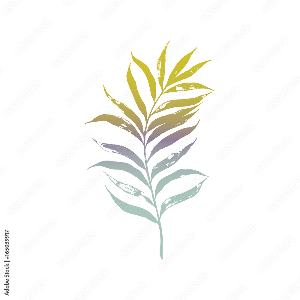 Hand drawn palm tree Hand drawn palm tree