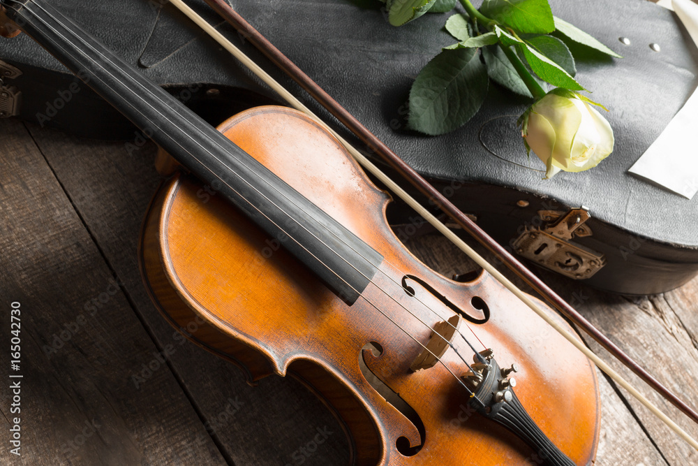 Fototapeta premium Violin and rose on black background.