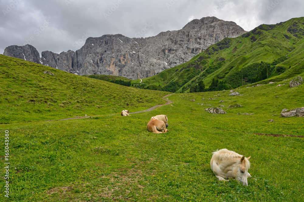 Obraz premium Italy south tyrol dolomites mountains sleeping horses