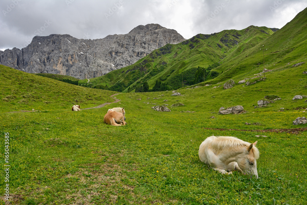 Italy south tyrol dolomites mountains sleeping horses