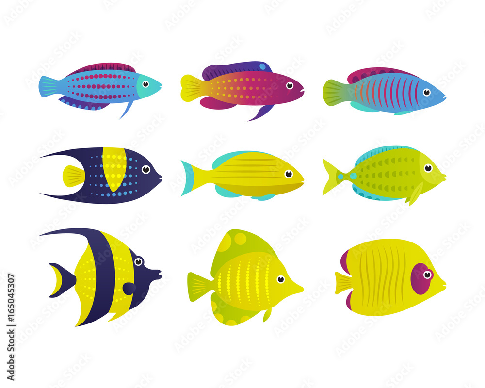 Set of vector reef fish